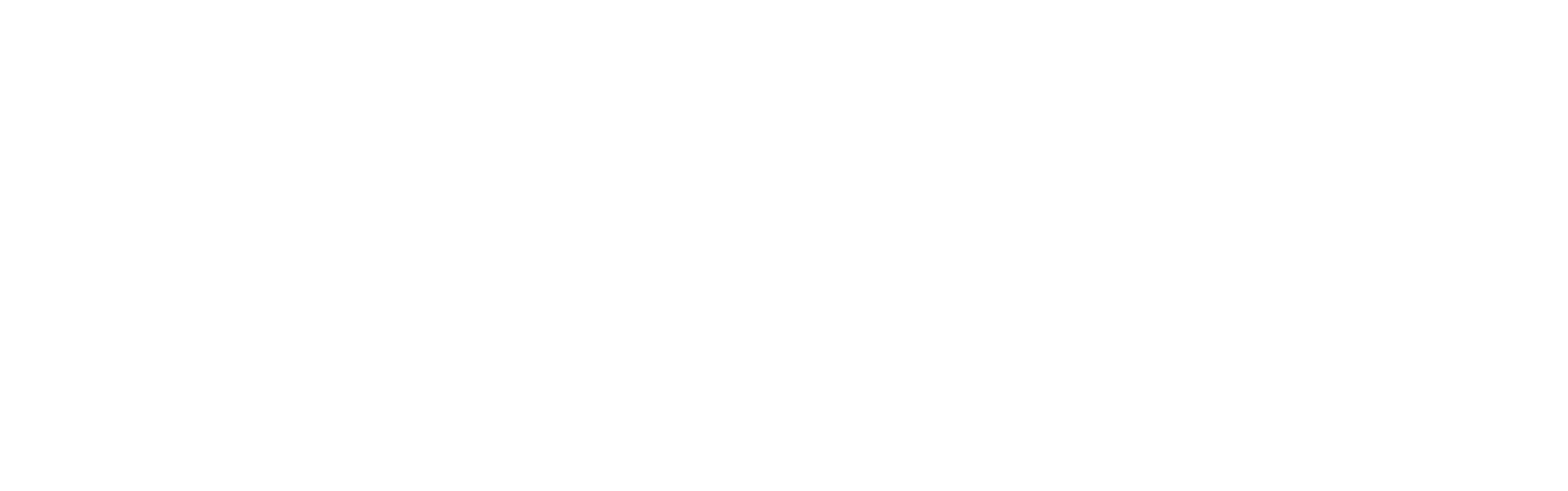 Logo Home Assistant